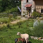 Tatil Evi Au Chant Des Oiseaux - Rouge Gorge *