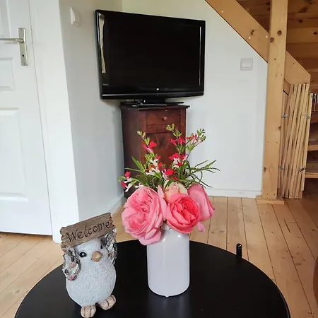 Tatil Evi Au Chant Des Oiseaux - Rouge Gorge