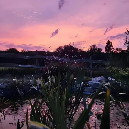 Σπίτι διακοπών Au Chant Des Oiseaux - Rouge Gorge