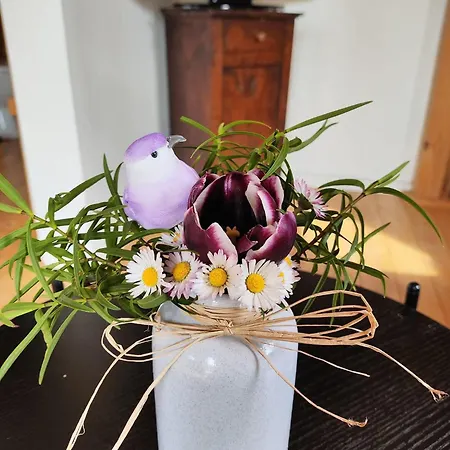 Au Chant Des Oiseaux - Rouge Gorge Σπίτι διακοπών