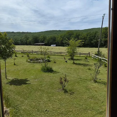 Tatil Evi Au Chant Des Oiseaux - Rouge Gorge *