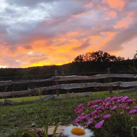 Σπίτι διακοπών Au Chant Des Oiseaux - Rouge Gorge Varen