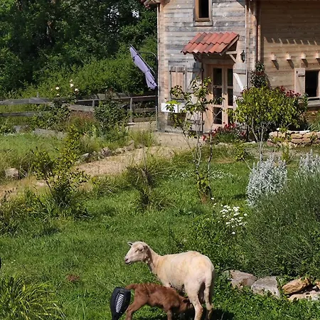Tatil Evi Au Chant Des Oiseaux - Rouge Gorge *