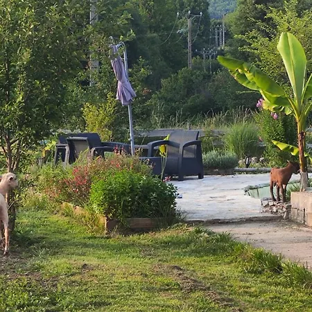 Au Chant Des Oiseaux - Rouge Gorge Varen