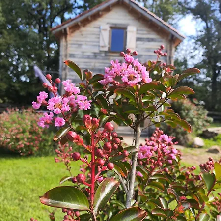 Au Chant Des Oiseaux - Rouge Gorge * Varen