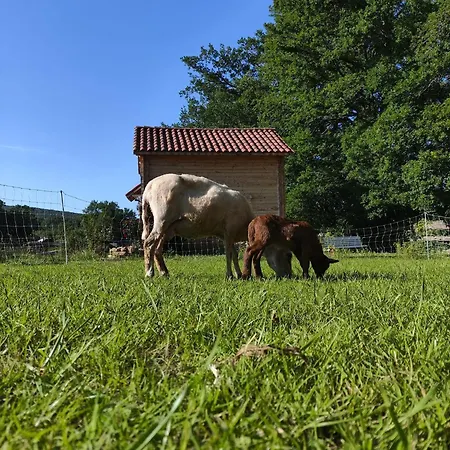 Tatil Evi Au Chant Des Oiseaux - Rouge Gorge Varen