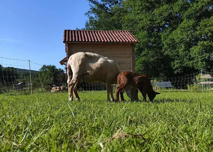 Ferienhaus Au Chant Des Oiseaux - Rouge Gorge Varen
